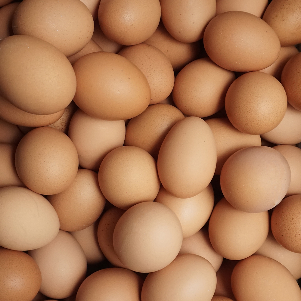 Eggs